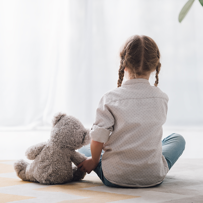 孤独症评估训练系列