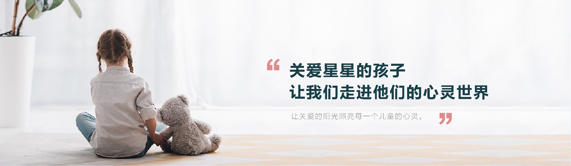 孤独症评估训练系列