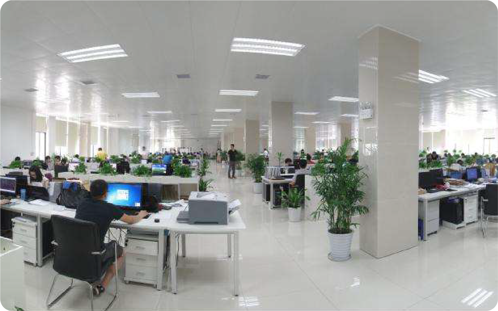 丰富的开发经验