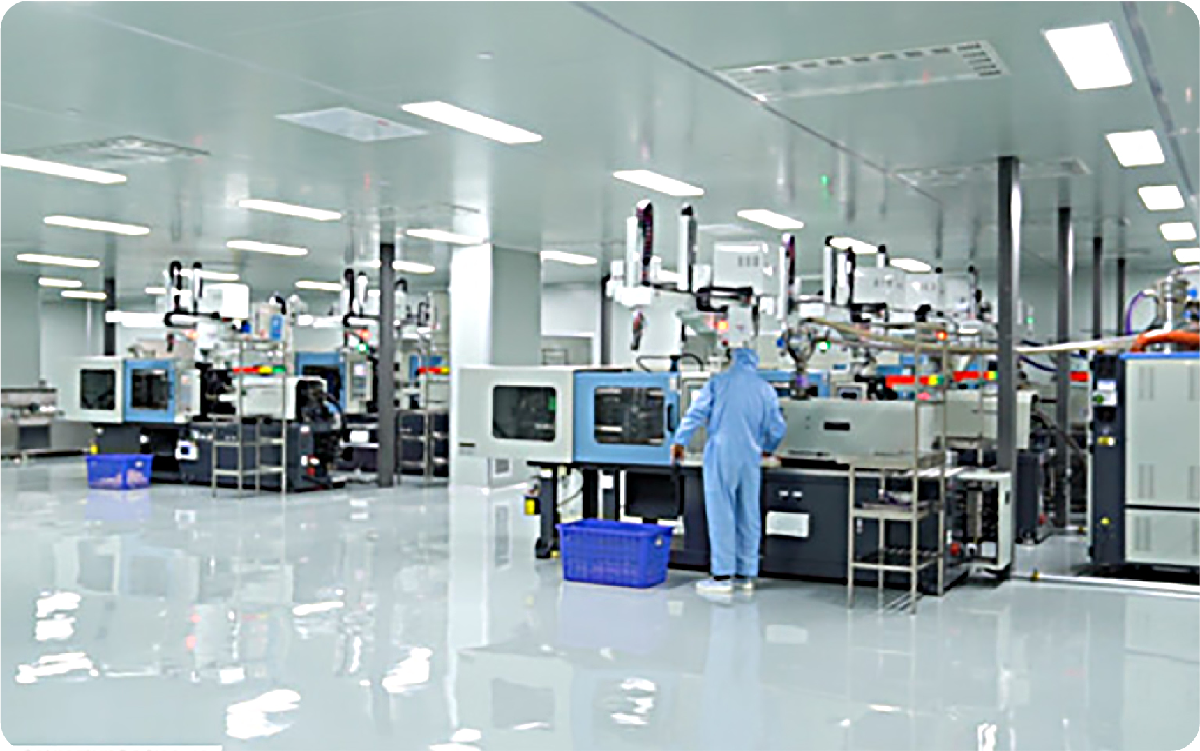 多样化产品种类